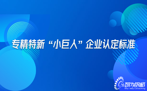 專精特新“小巨人”企業認定標準.jpg