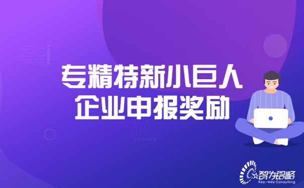 專(zhuān)精特新小巨人企業(yè)申報(bào)獎(jiǎng)勵(lì)