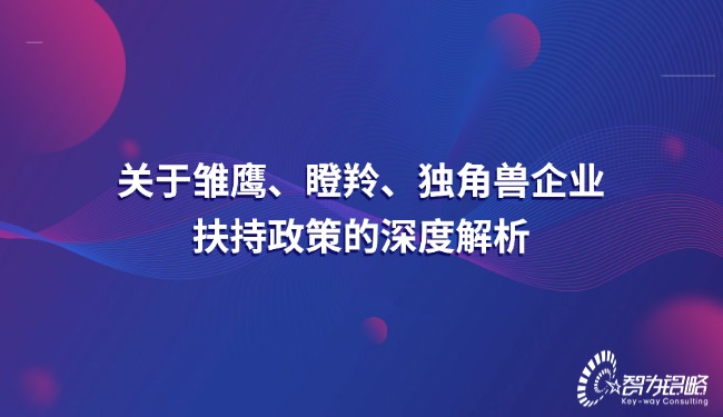 關于雛鷹、瞪羚、獨角獸企業扶持政策的深度解析.jpg