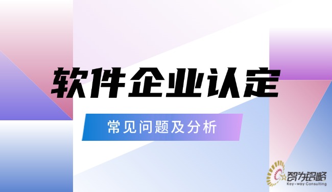 軟件企業(yè)認(rèn)定的常見(jiàn)問(wèn)題及分析
